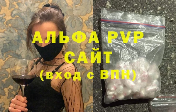 спиды Новодвинск